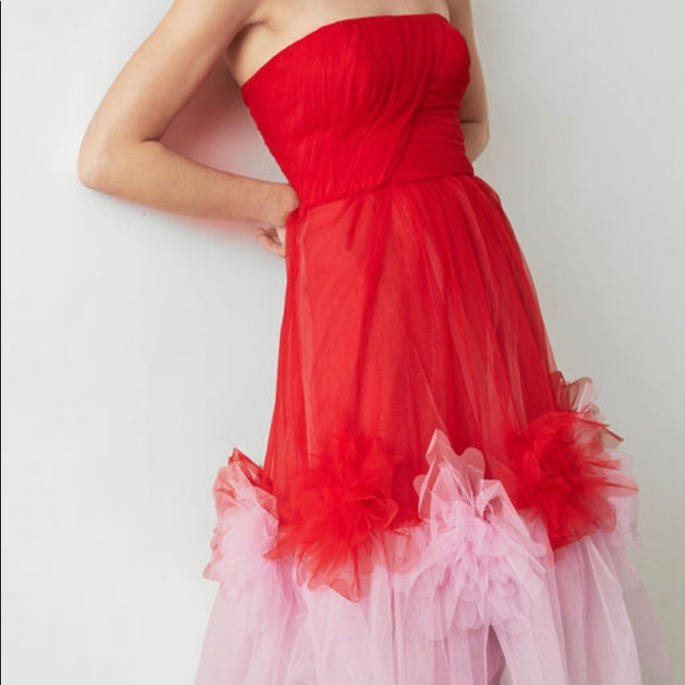 BCBG Maxazria Tulle Flower Dress